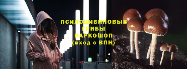 спайс Алексин