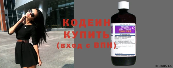 эйфоретик Алзамай