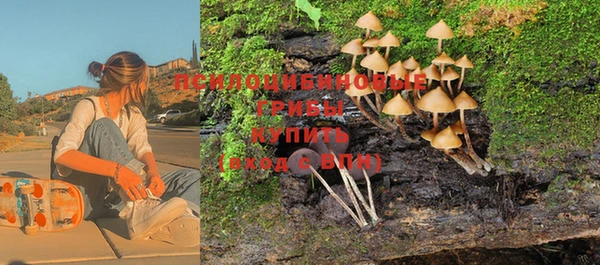 соль ск Абдулино