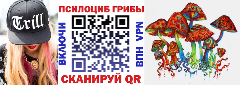 Псилоцибиновые грибы Psilocybine cubensis где можно купить mega Бирюсинск