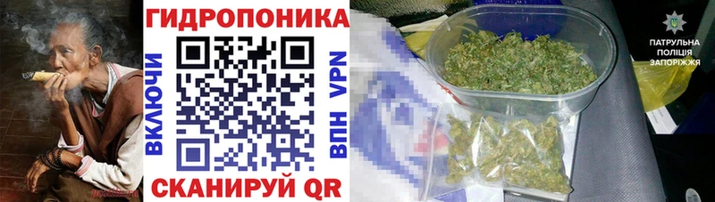 Конопля марихуана  Бирюсинск 
